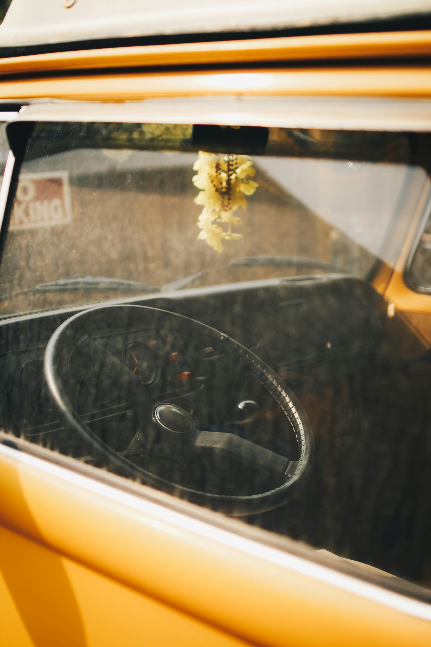 探索知识海洋，大众百科网——您身边的在线百科全书 大众百科网