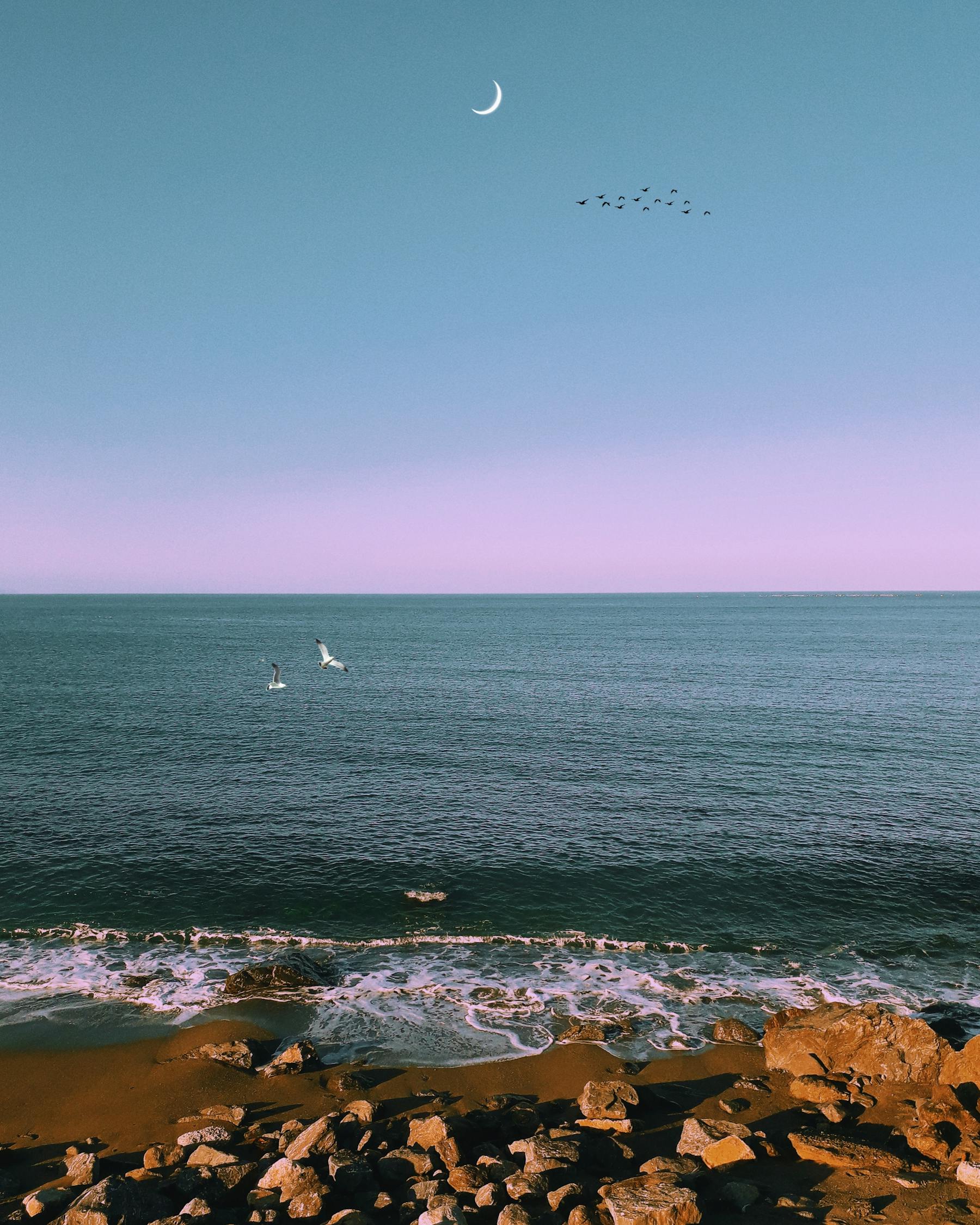 港澳旅游详细攻略，探索东西方文化交融的璀璨明珠 港澳旅游详细攻略