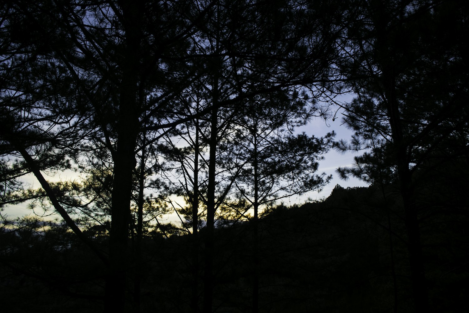 灰数码，数字时代的隐秘色彩 灰数码