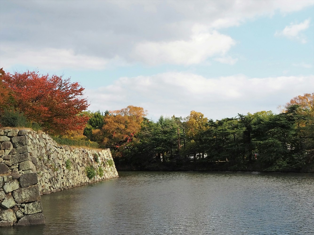 8月份上海旅游全攻略，炎夏里的都市风情与避暑秘籍 8月份上海旅游攻略