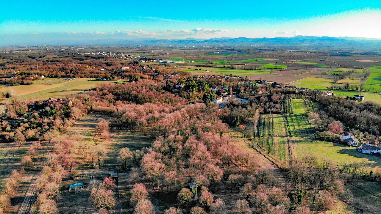 舟山三日游旅游攻略，海岛风情与文化探索的完美融合 舟山三日游旅游攻略-龙珠手游下载