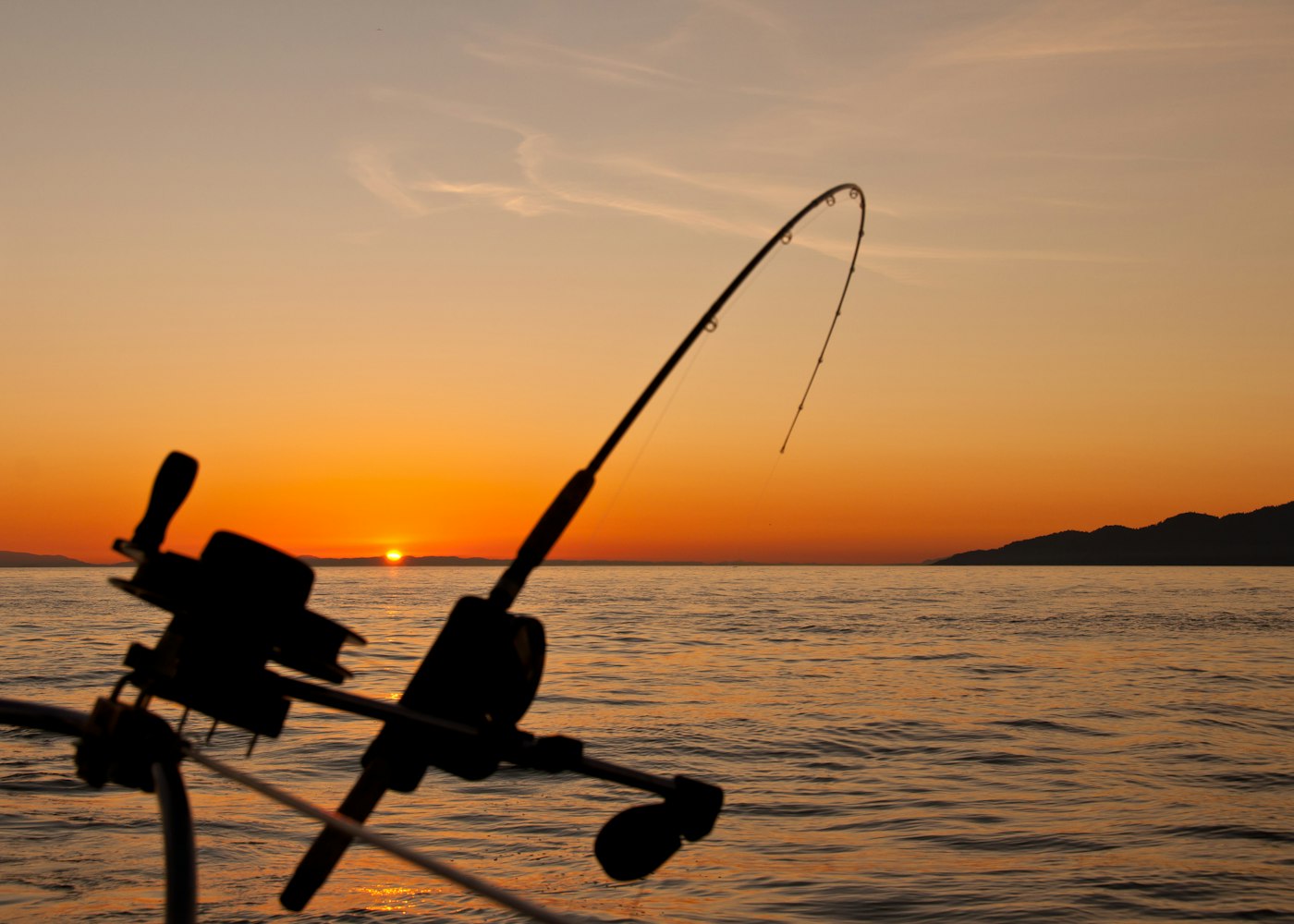 钓鱼365视频,全年无休的垂钓盛宴,解锁四季渔获秘籍 钓鱼365视频,全年无休的垂钓盛宴,解锁四季渔获秘籍