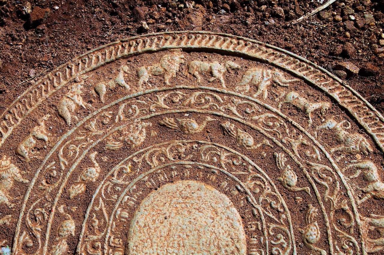 365天的欧美视频，日常切片里的文化肌理与全球共振