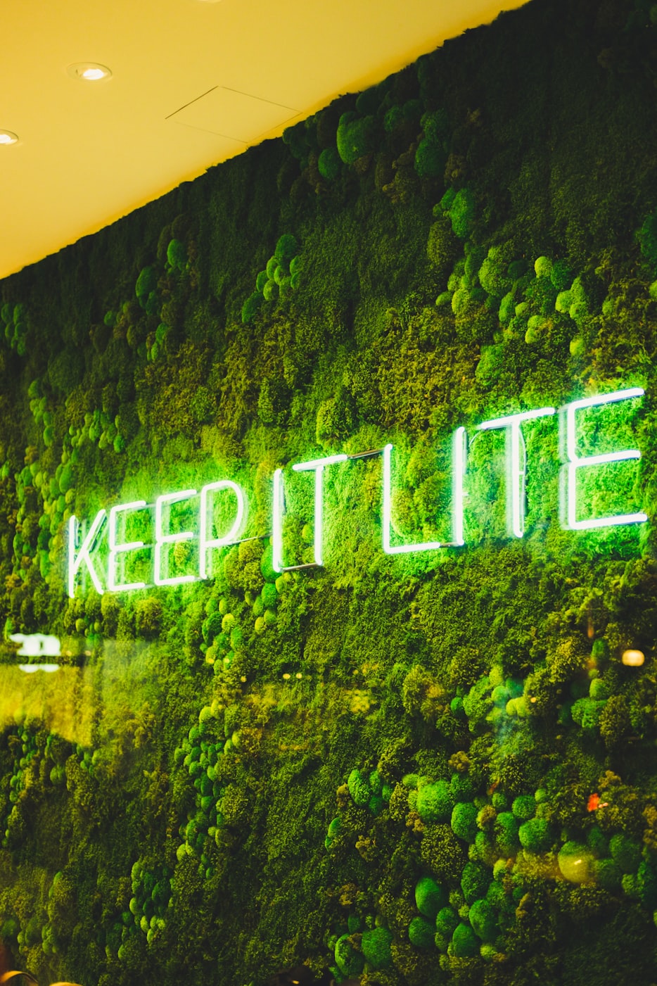 警惕色窝365视频，远离非法网络内容，守护健康网络生态